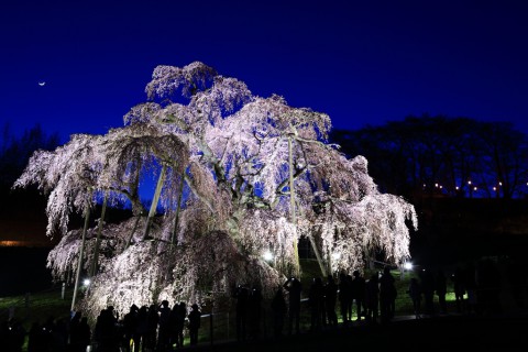 201304_01_IMGL7703