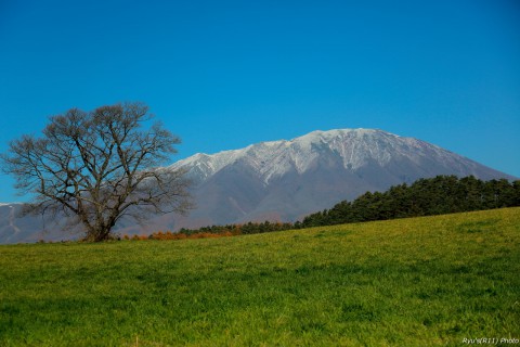 201511_IMGL5180