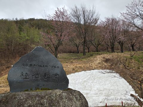 植樹記念碑